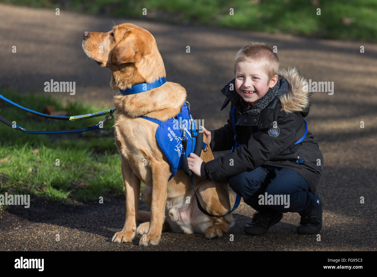 Londra, Regno Unito. Il 18 febbraio 2016. Cohen Hadfield, 7, da Rotherham, South Yorkshire con Azerley, un Golden Retriever croce, autismo cane di assistenza. Il Crufts 2016 cane eroi finalisti sono stati rivelati dal Kennel Club. L annuale Eukanuba Amici per la vita concorso gestito dal Kennel Club festeggia ispirando storie di cani compagnia di fronte alle avversità. © Immagini vibranti/Alamy Live News Foto Stock