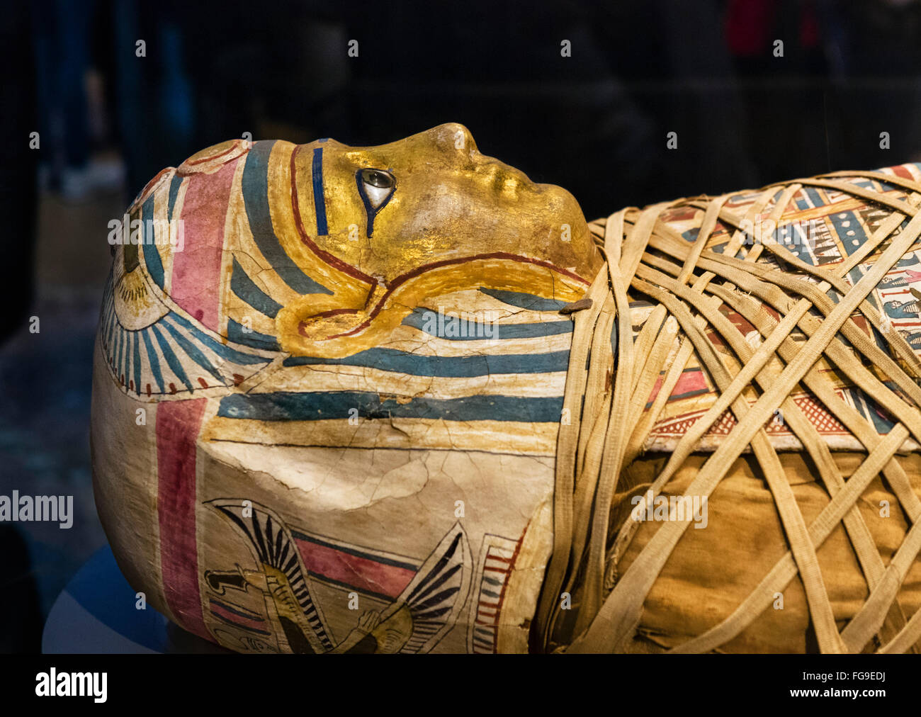 La mummia di un giovane uomo dal periodo romano dopo 30 BC, British Museum, Bloomsbury, London, England, Regno Unito Foto Stock
