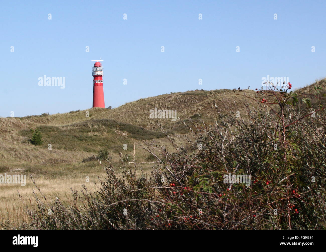 Paesaggio con dune sul olandese il Wadden isola di Schiermonnikoog. Sullo sfondo la torre nord faro (Noordertoren) Foto Stock