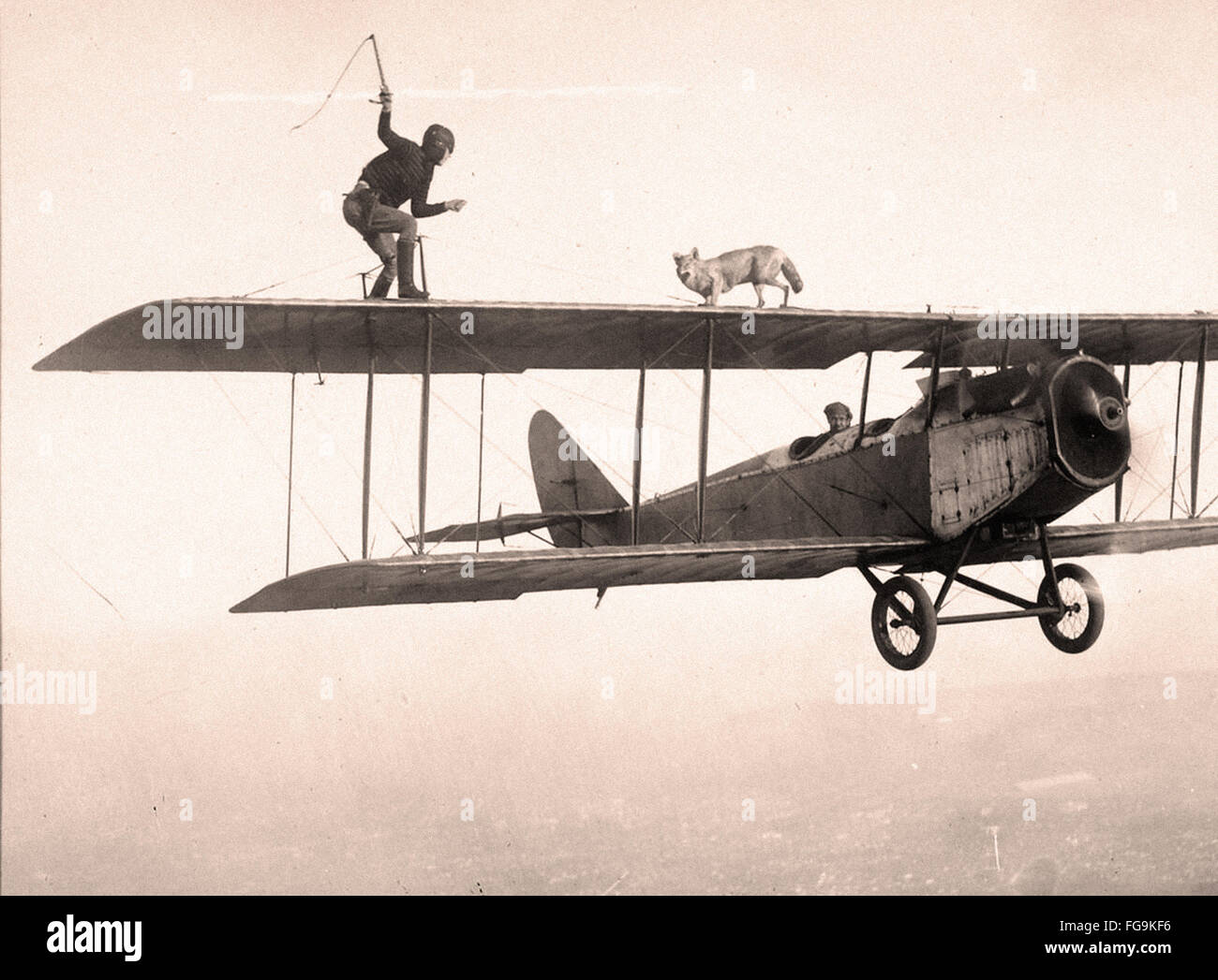 Stunt man e Cane sulle ali di un aereo - 1920S Foto Stock