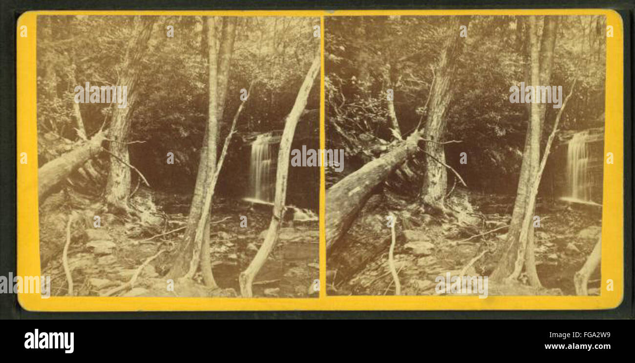 "Caldeno Falls" nella contea di Pike, Pennsylvania, catturata da E. Borhek & Son, presenta una fotografia di paesaggio sorprendente. L'immagine mette in evidenza la bellezza naturale della cascata e dell'ambiente circostante, sottolineando la serenità e la potenza della natura. Foto Stock