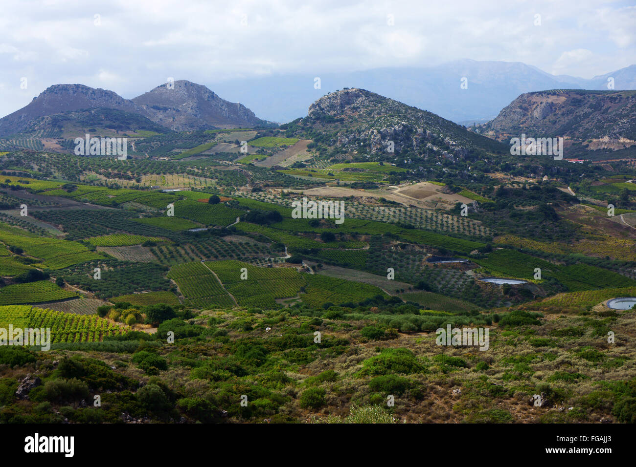 Terra Agriculutre nelle montagne a sud di Heraklion a sud della città Vathipetro, isola centrale di Creta. La Grecia Foto Stock