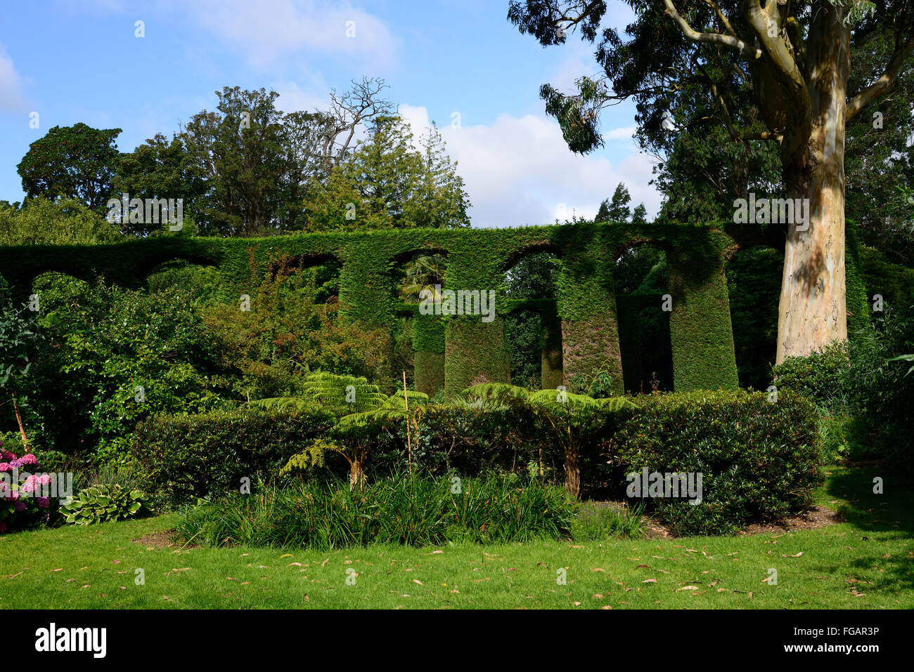 Montare Stewart House garden giardini italiani ritagliati yew hedge viadotto sagomato di forma includono funzioni di giardinaggio floreale RM Foto Stock