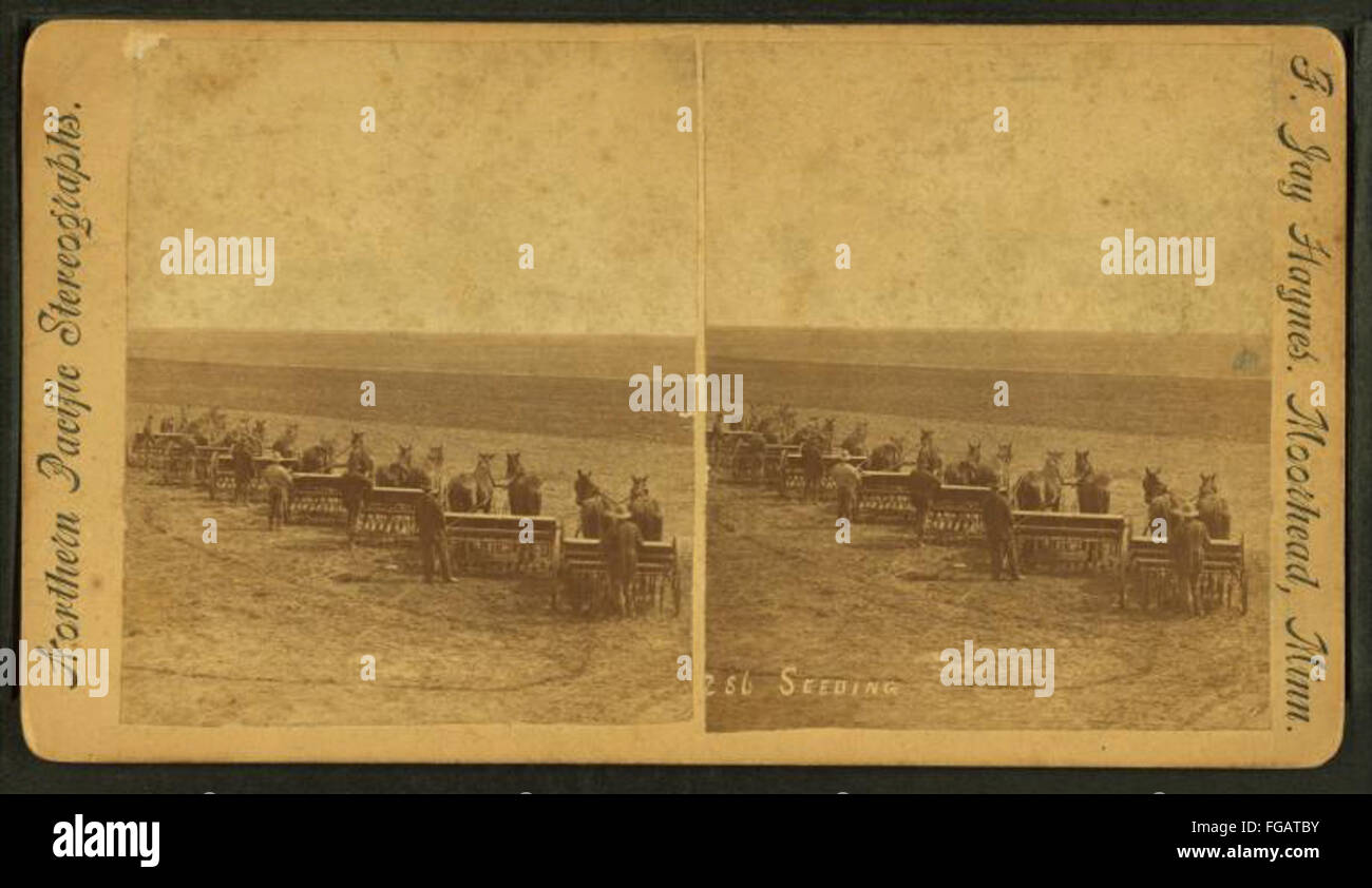 Una fotografia di F. Jay Haynes che mostra uomini che usano aratri trainati da cavalli per seminare un campo, catturando l'attività agricola rurale durante il XIX secolo. Foto Stock