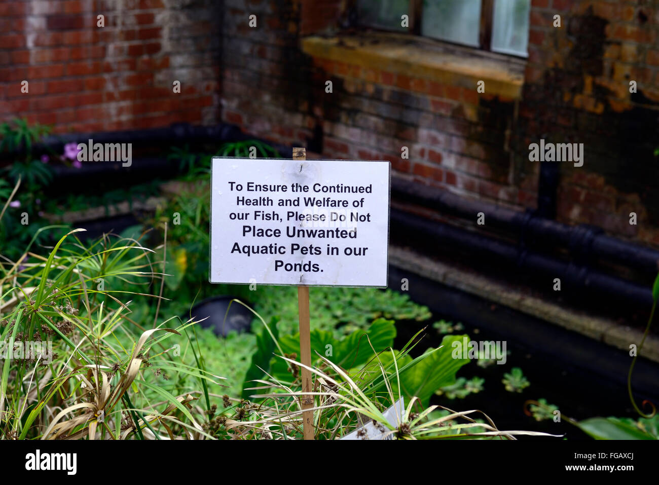 Non scaricare indesiderati segno pet pond aquatic Botanic Gardens belfast problema problema abbandonare abbandonare animali domestici RM floral Foto Stock