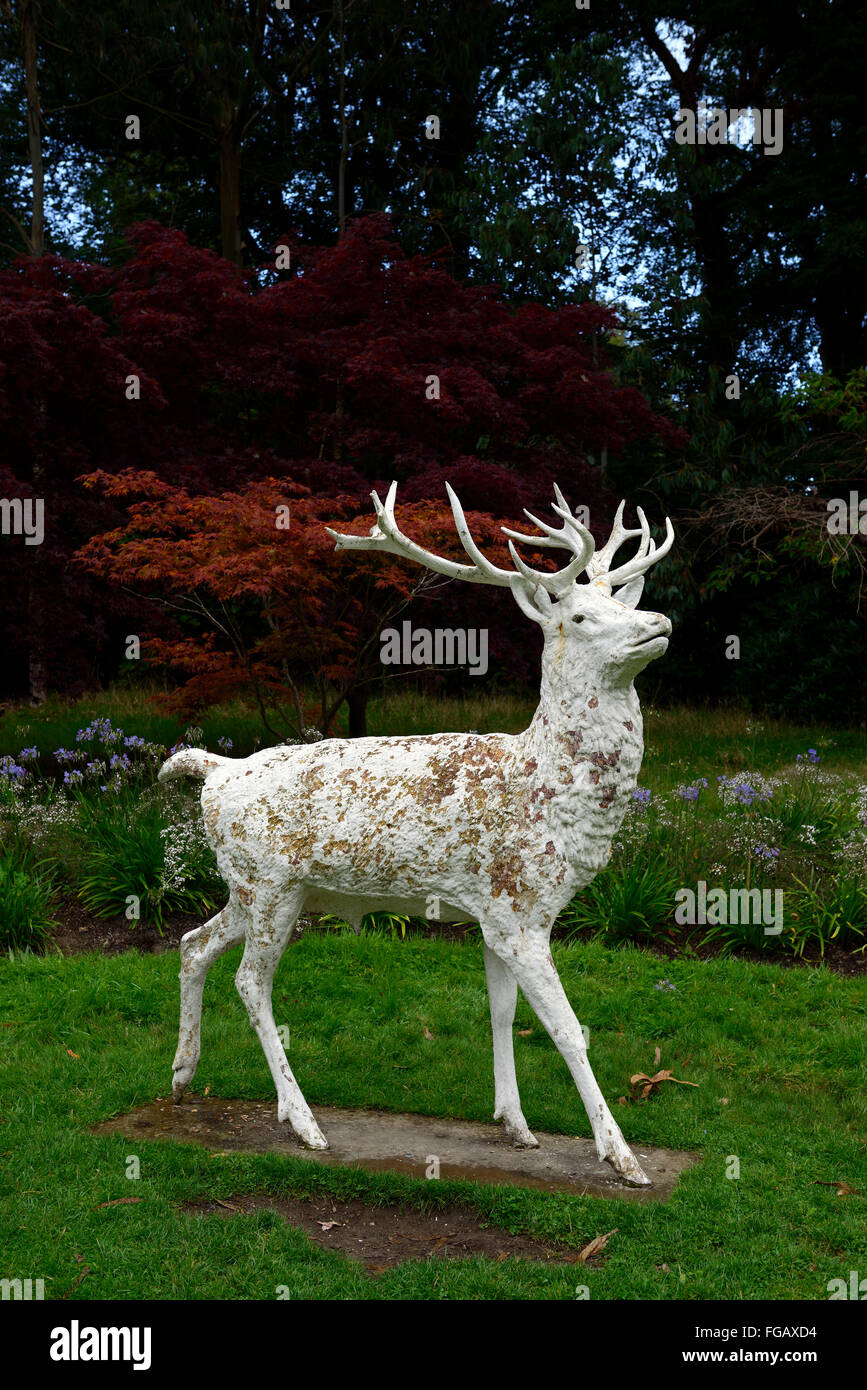 White stag statua giardino di sculture arte di installazione mount stewart gardens Irlanda del Nord RM floral Foto Stock