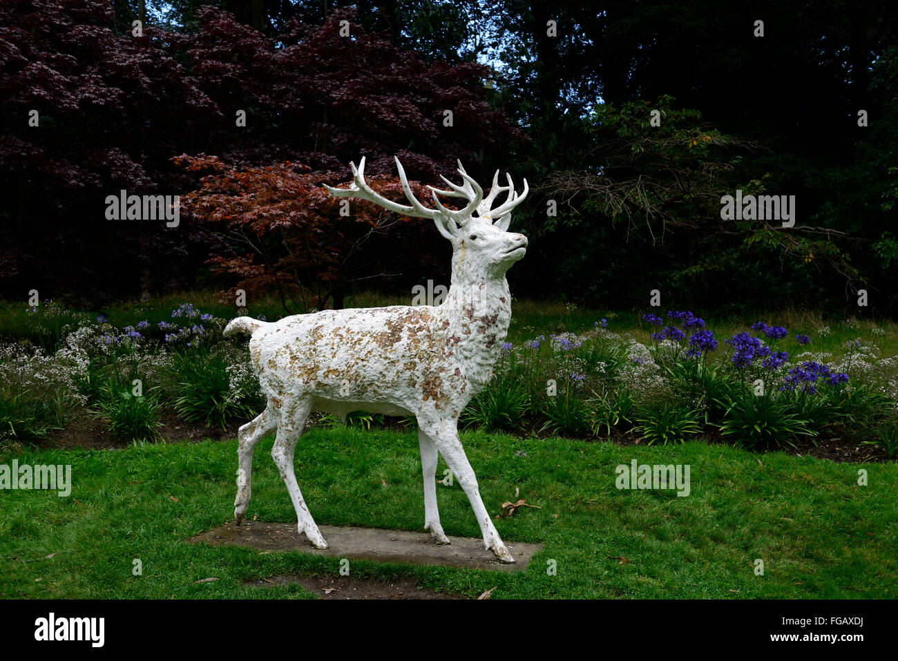 White stag statua giardino di sculture arte di installazione mount stewart gardens Irlanda del Nord RM floral Foto Stock