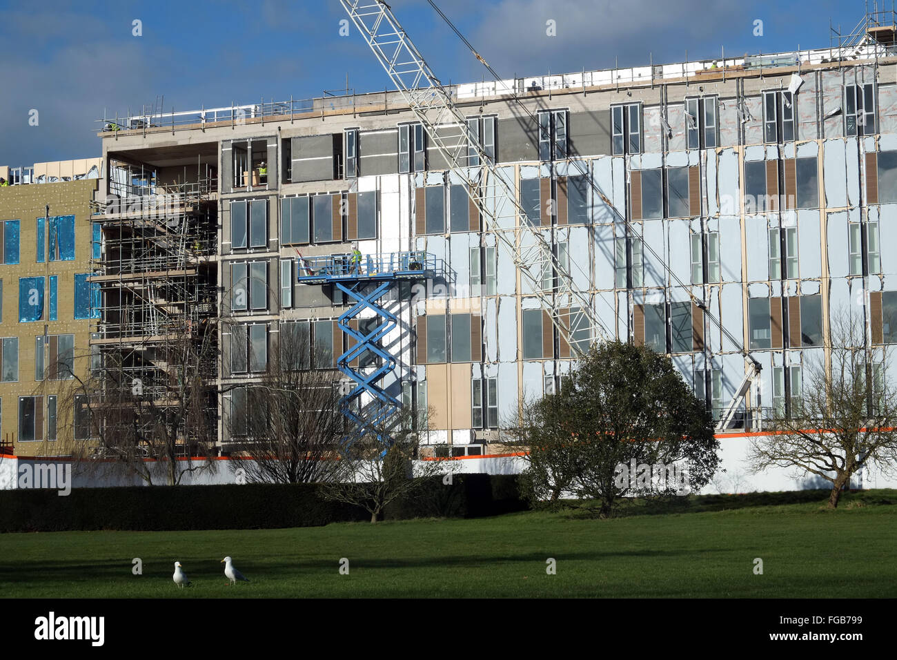 Edilizia e opere di sviluppo attualmente in corso presso l'Università di Bath, uno di Gran Bretagna premier università. Febbraio 2016 Foto Stock