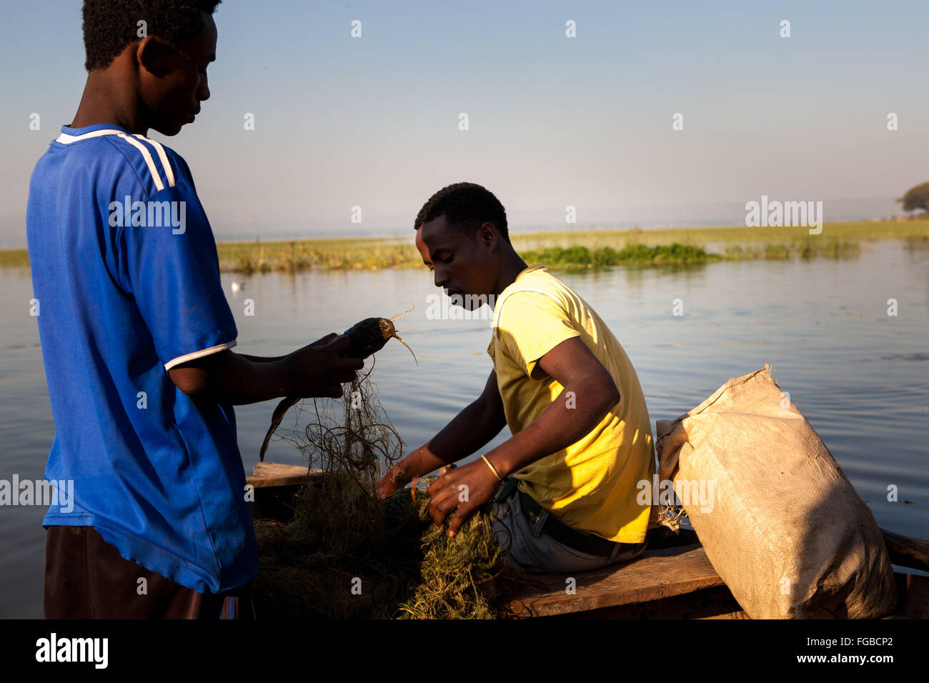 I pescatori sbarcare le loro catture di Talapia in luce del sole di mattina. Il lago di Hawassa, Etiopia Africa Foto Stock