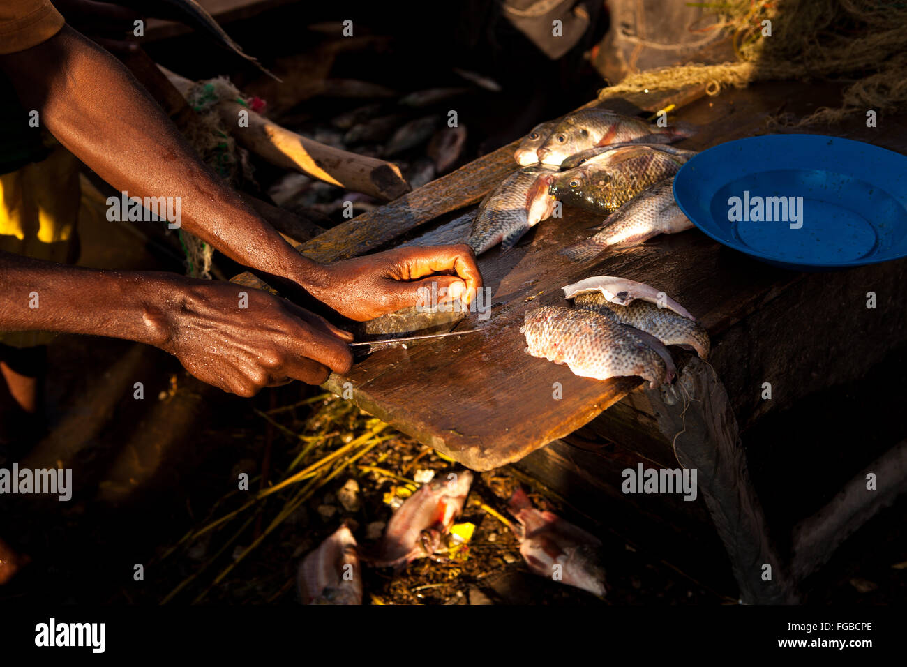 I pescatori preparano il loro pesce appena pescato. Il lago di Hawassa Etiopia Africa Foto Stock