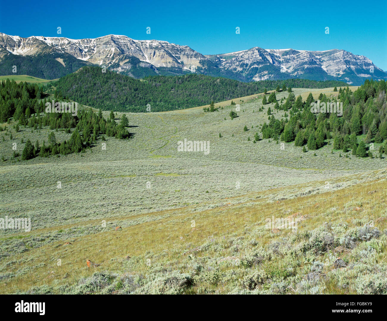 Il Centennial Mountains lungo il Continental Divide vicino al Red Rock pass ad est di lakeview, montana Foto Stock