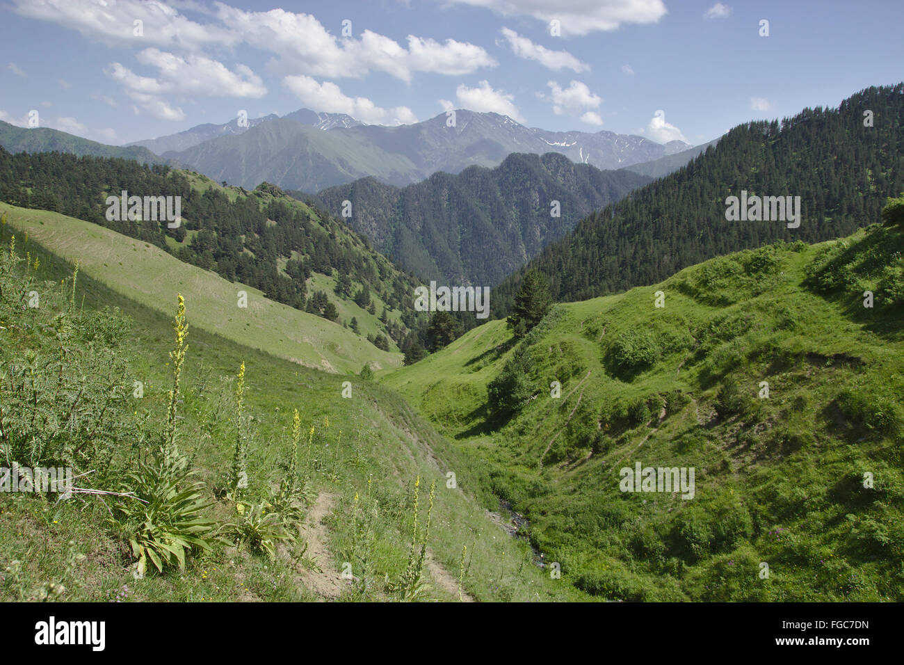 Paesaggio tra Diklos e fortezza Diklos, Tusheti Georgia Foto Stock