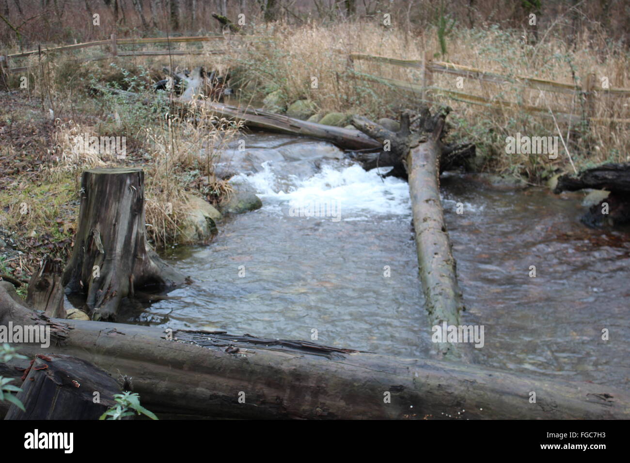 Habitat Foto Stock