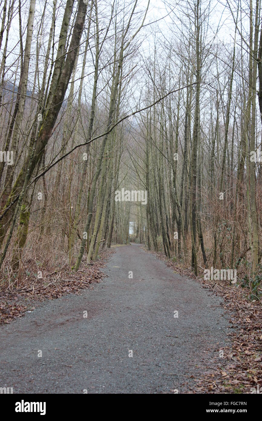 Passeggiata invernale Foto Stock