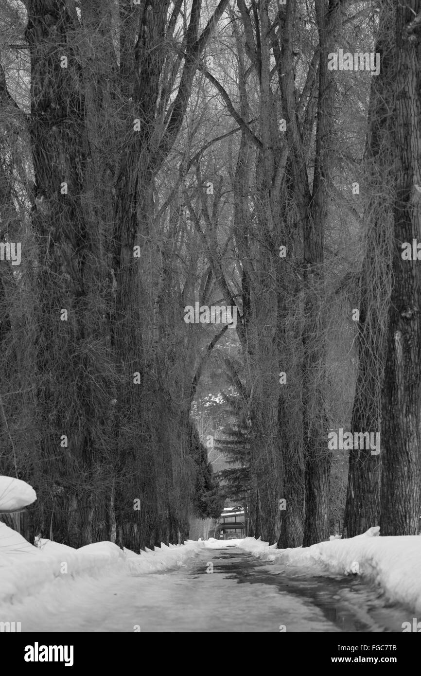 Percorso a piedi attraverso il cimitero Foto Stock