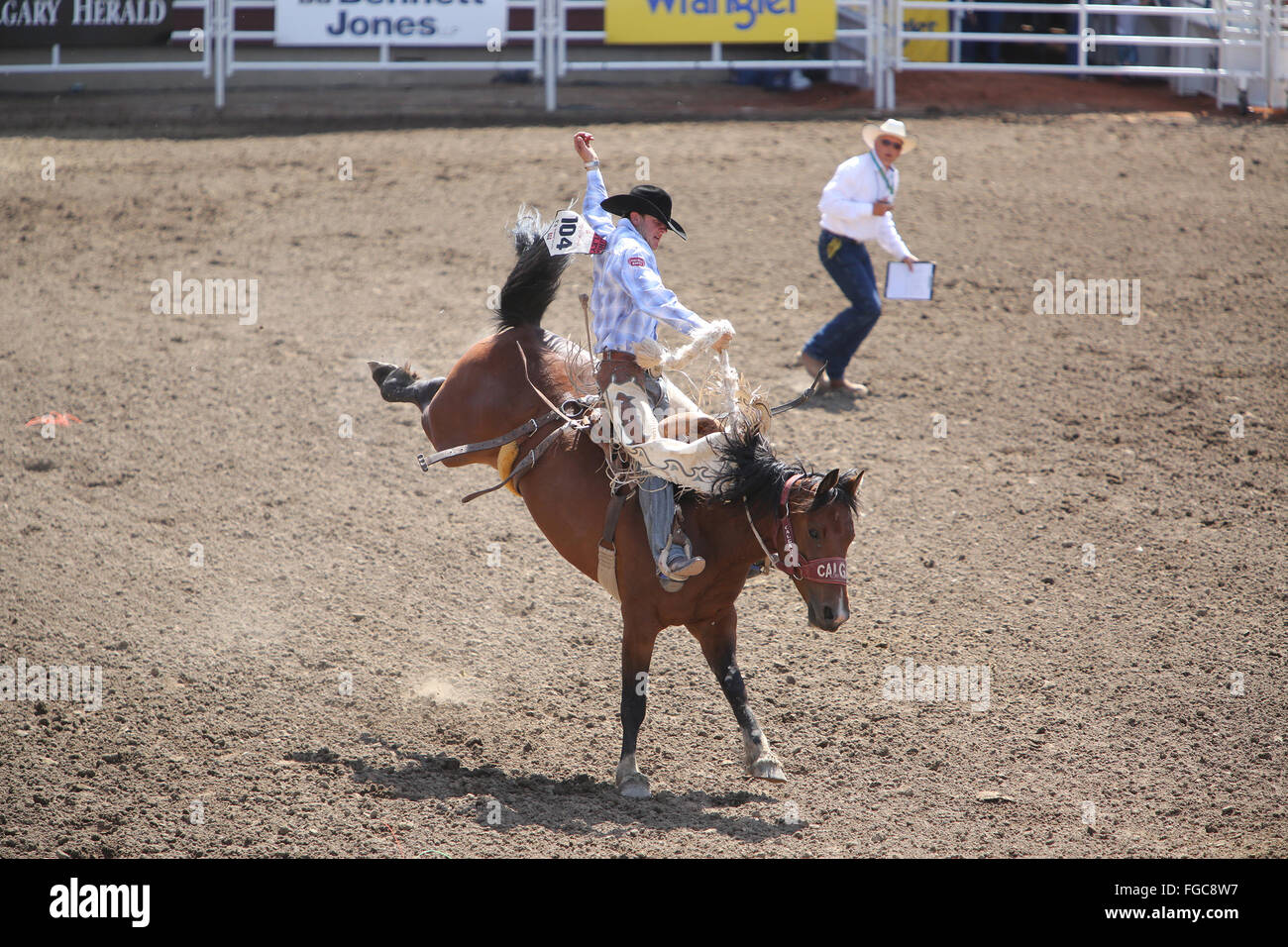 Calgary Stampede strappi Bronc e Cowboy Rodeo di concorrenza Foto Stock