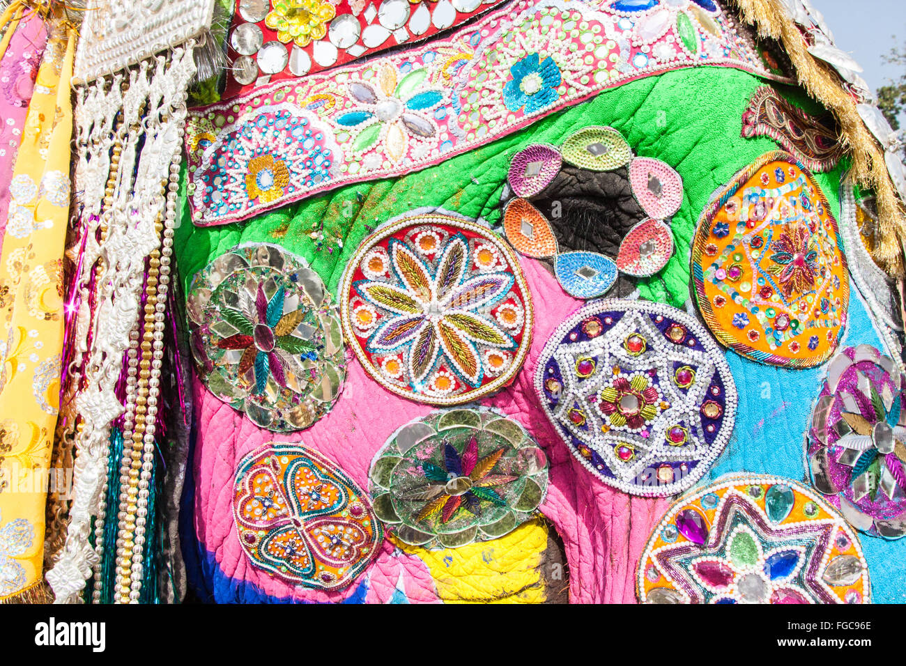 Dettaglio del dipinto di elefante durante il festival di elefante durante holi,celebrazione indù in Jaipur Rajasthan,l'India,l'Asia. Foto Stock