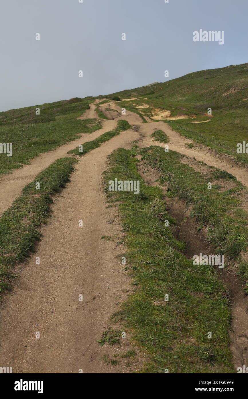 Punto Tomales trail, un sentiero escursionistico con solchi ed erosione a Point Reyes National Seashore nel nord della California, US Foto Stock