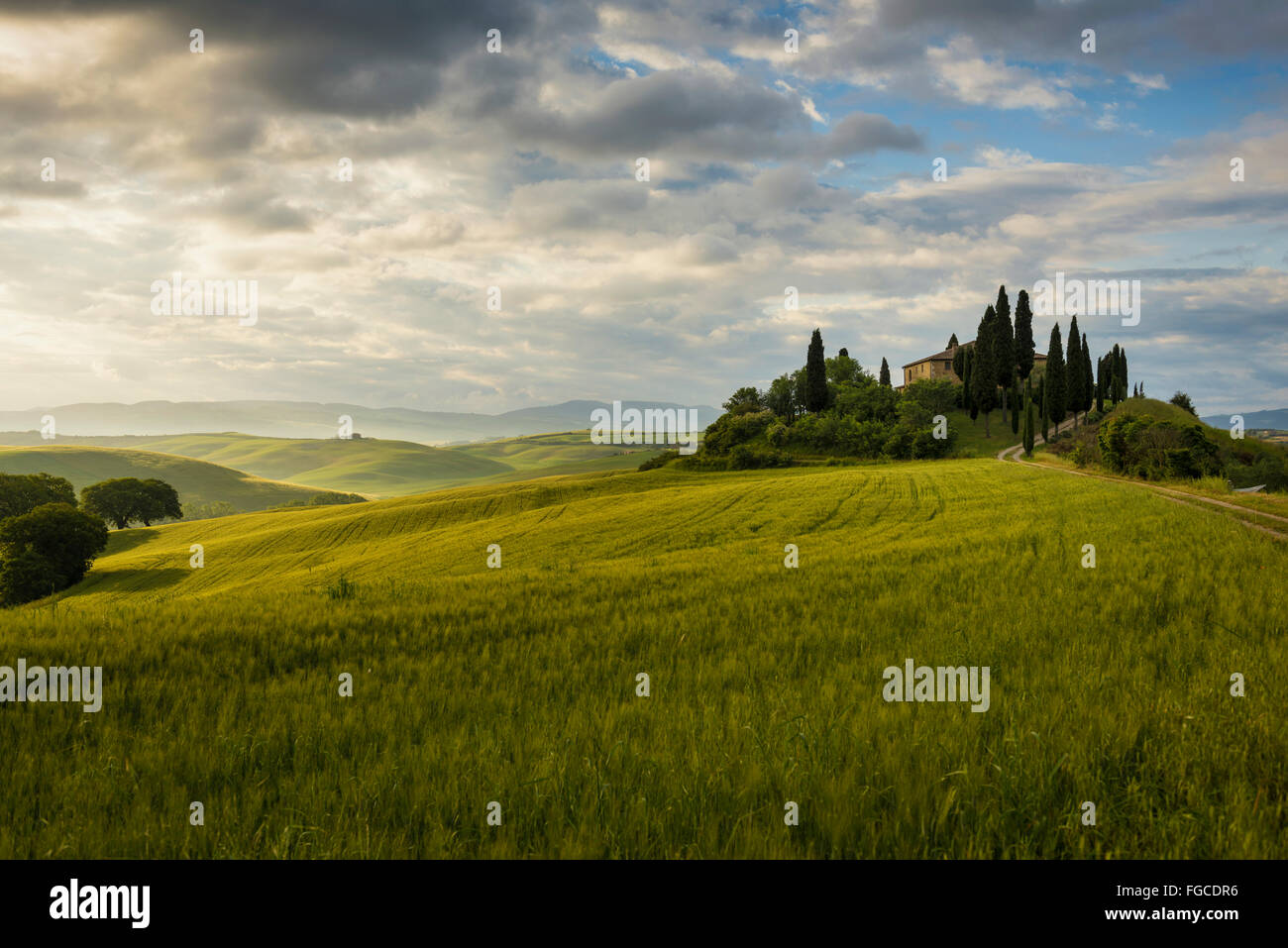 Manor con cipressi, a San Quirico d&#39;La Val d'Orcia, Val d&#39;Orcia, provincia di Siena, Toscana, Italia Foto Stock