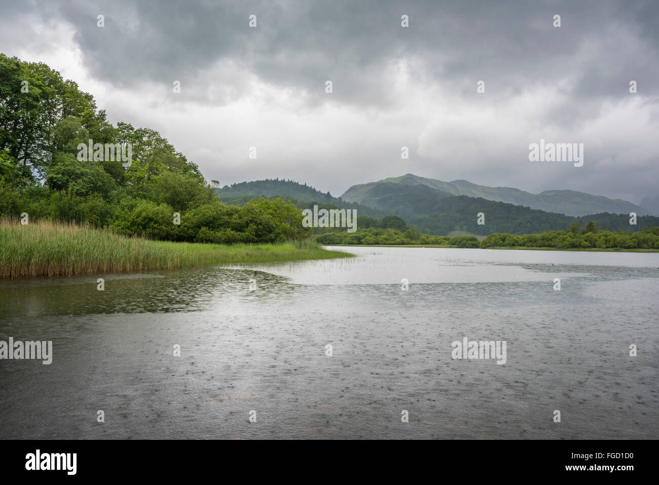 Acqua Elter, Cumbria. Foto Stock