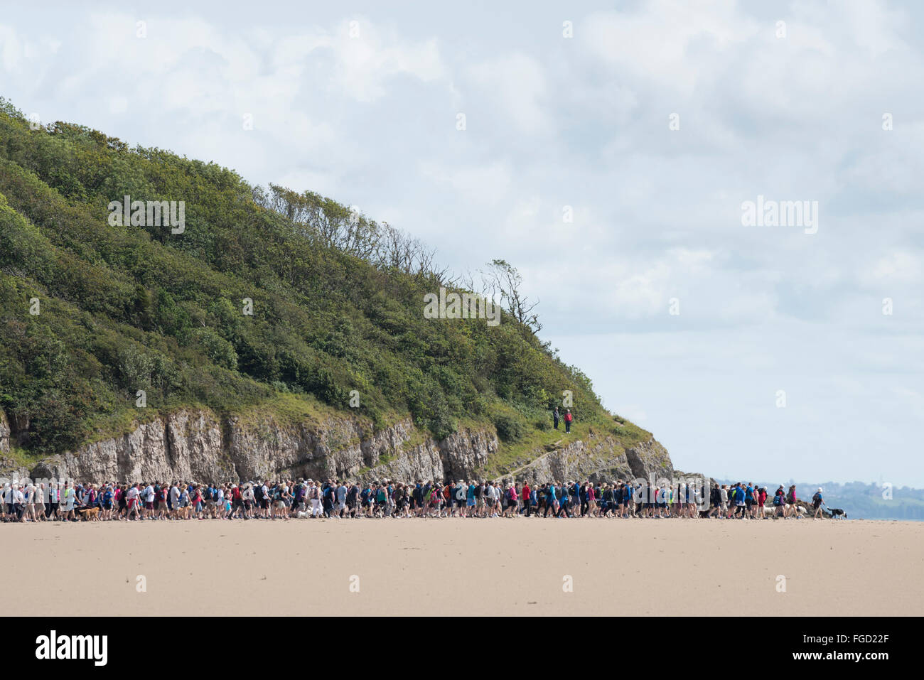 Walker a White Creek Bay impostazione per attraversare la baia di Morecambe, Cumbria. Foto Stock
