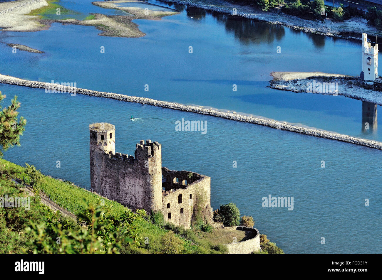 La rovina del castello di Ehrenfels sopra la Gola del Reno vicino alla città di Rüdesheim am Rhein e il Mouse Torre di Bingen Foto Stock