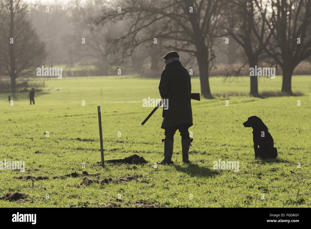 La pistola in attesa di peg a Boulge, Suffolk. Foto Stock