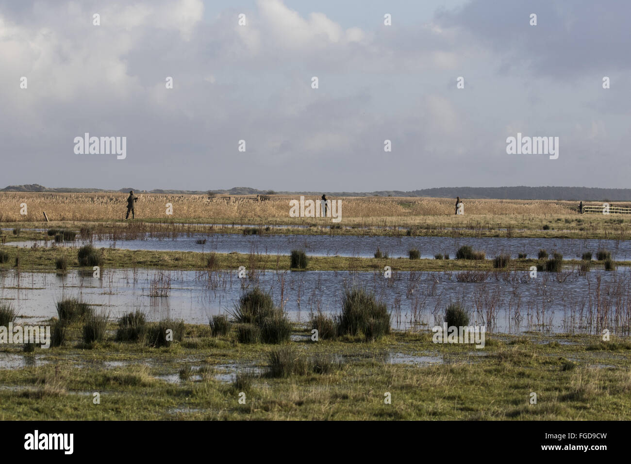 Pistole schierate per wildfowl shoot Foto Stock