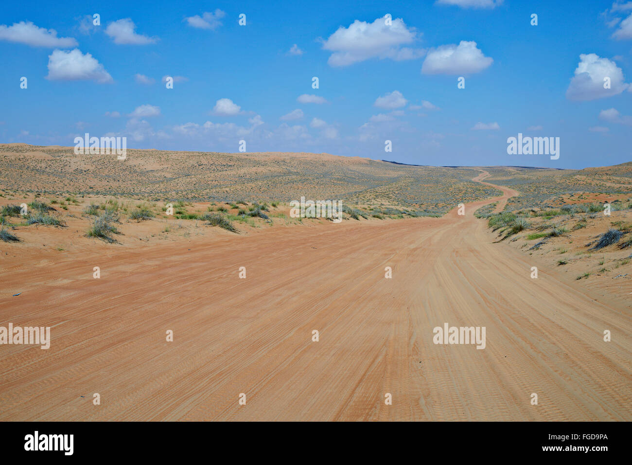 Strada del deserto di Wahiba Sands, una delle più popolari destinazioni tourisit in Oman. Foto Stock