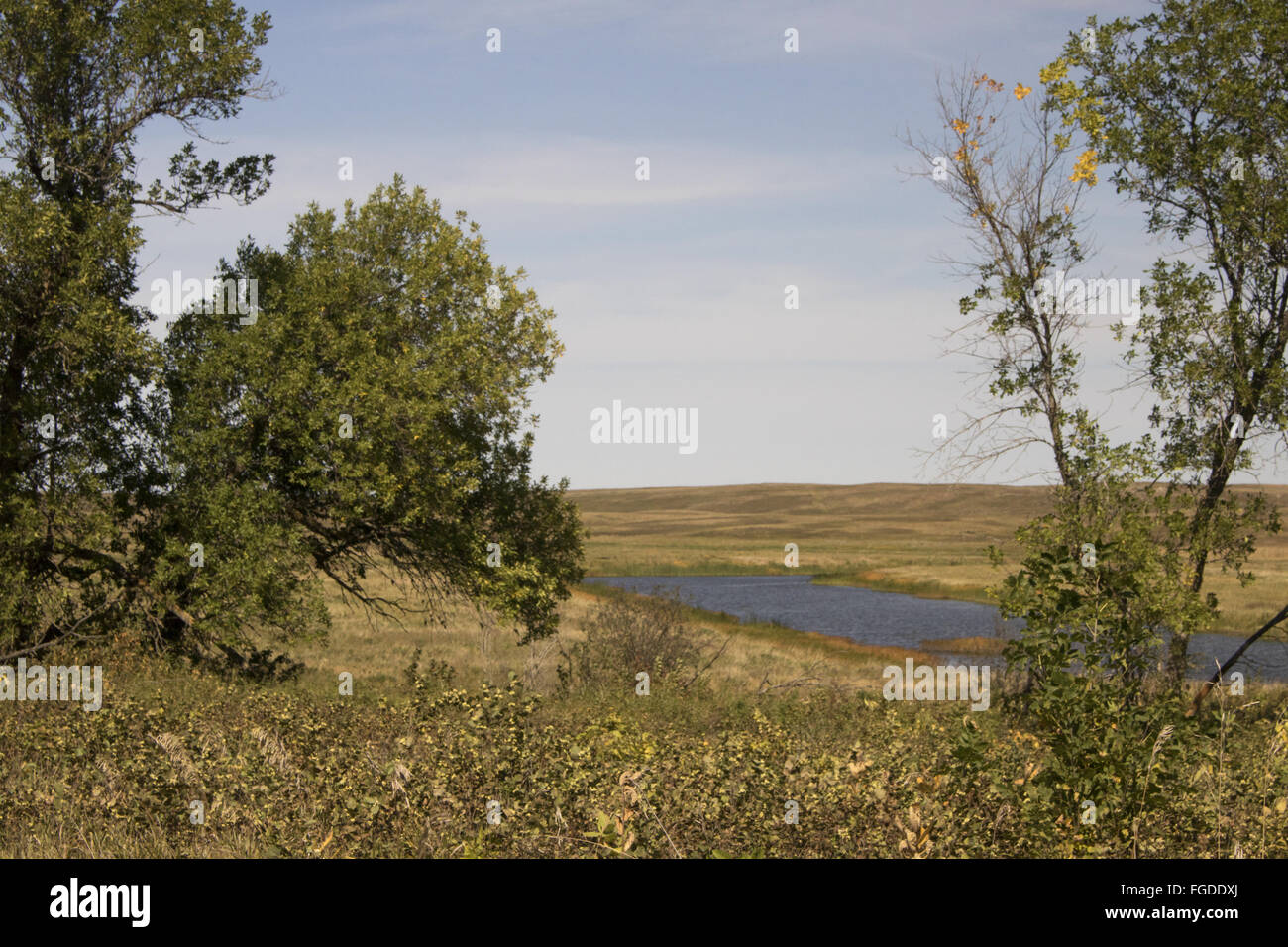 Vista del fiume e prateria di habitat, James River, Arrowwood National Wildlife Refuge, North Dakota, U.S.A., Settembre Foto Stock