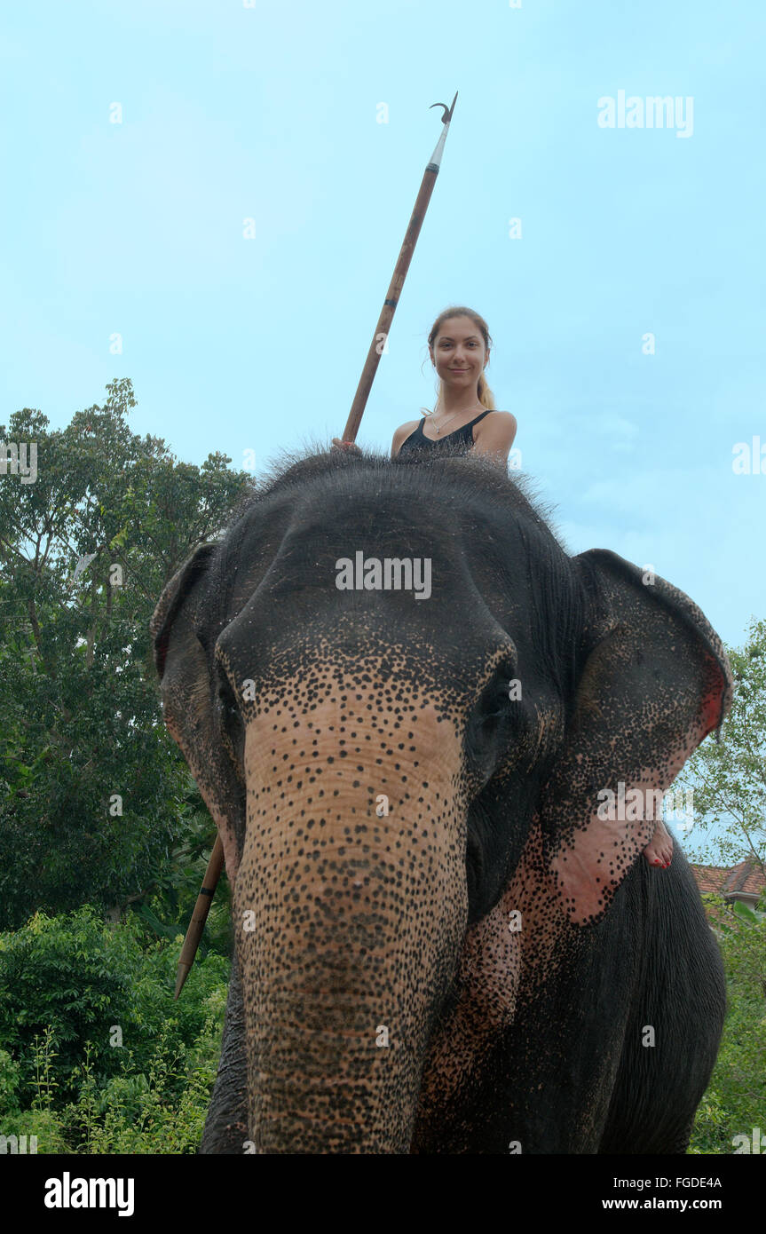 La donna corse su un elefante indiano, elefante asiatico o elefante Asiatico (Elephas maximus), Hikkaduwa, Sri Lanka, Sud Asia Foto Stock