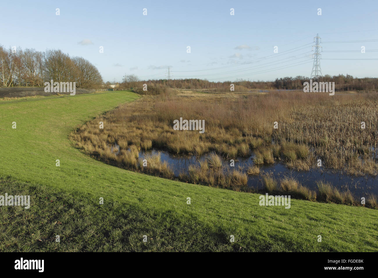 Vista delle wetland habitat con la trasmissione di elettricità tralicci in background, pascoli Letchmire Riserva Naturale, Allerton Bywater, West Yorkshire, Inghilterra, Dicembre Foto Stock