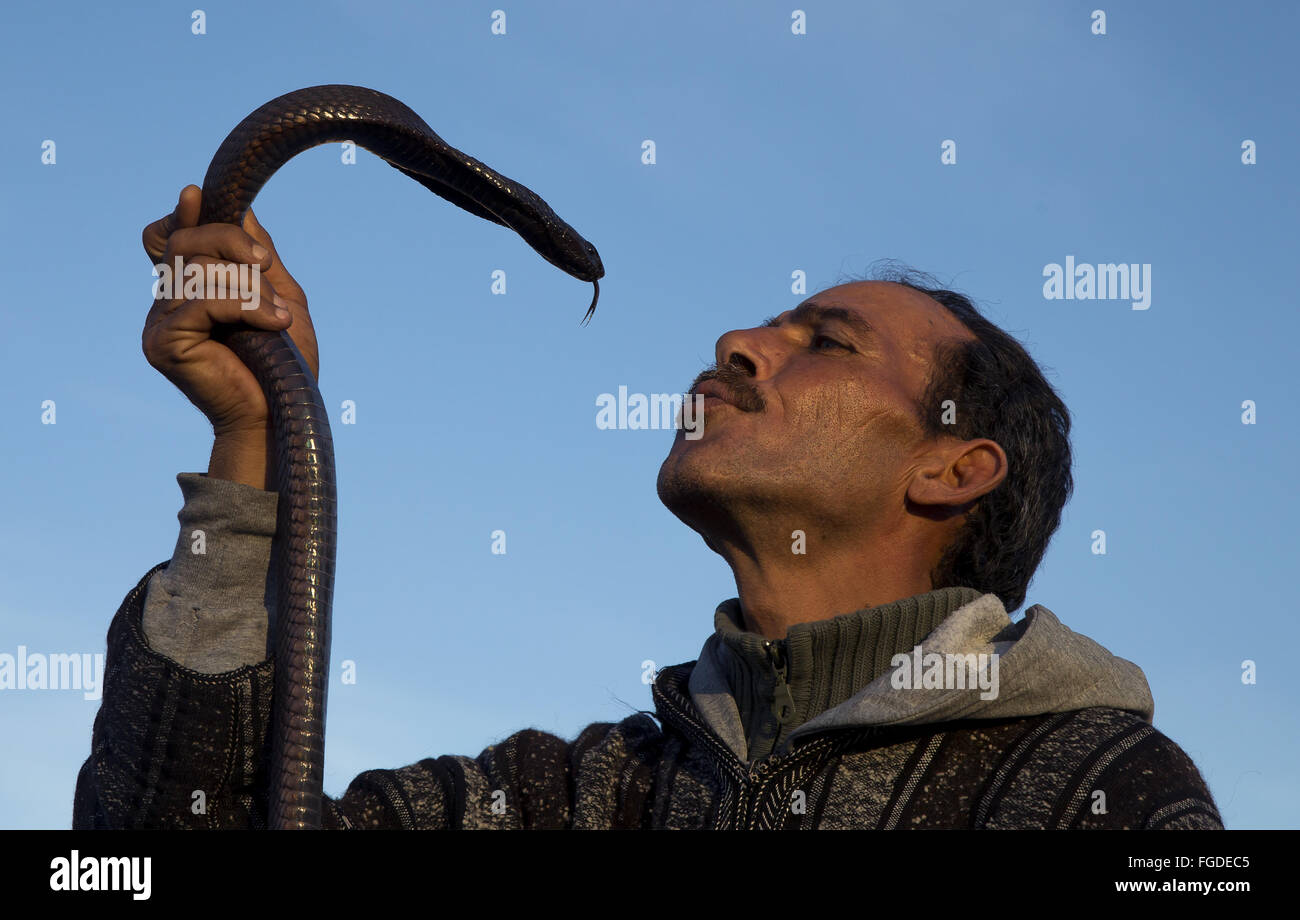 Il serpente incantatore holding cobra, Piazza Jamaa El Fna a Marrakech, Marocco, Dicembre Foto Stock