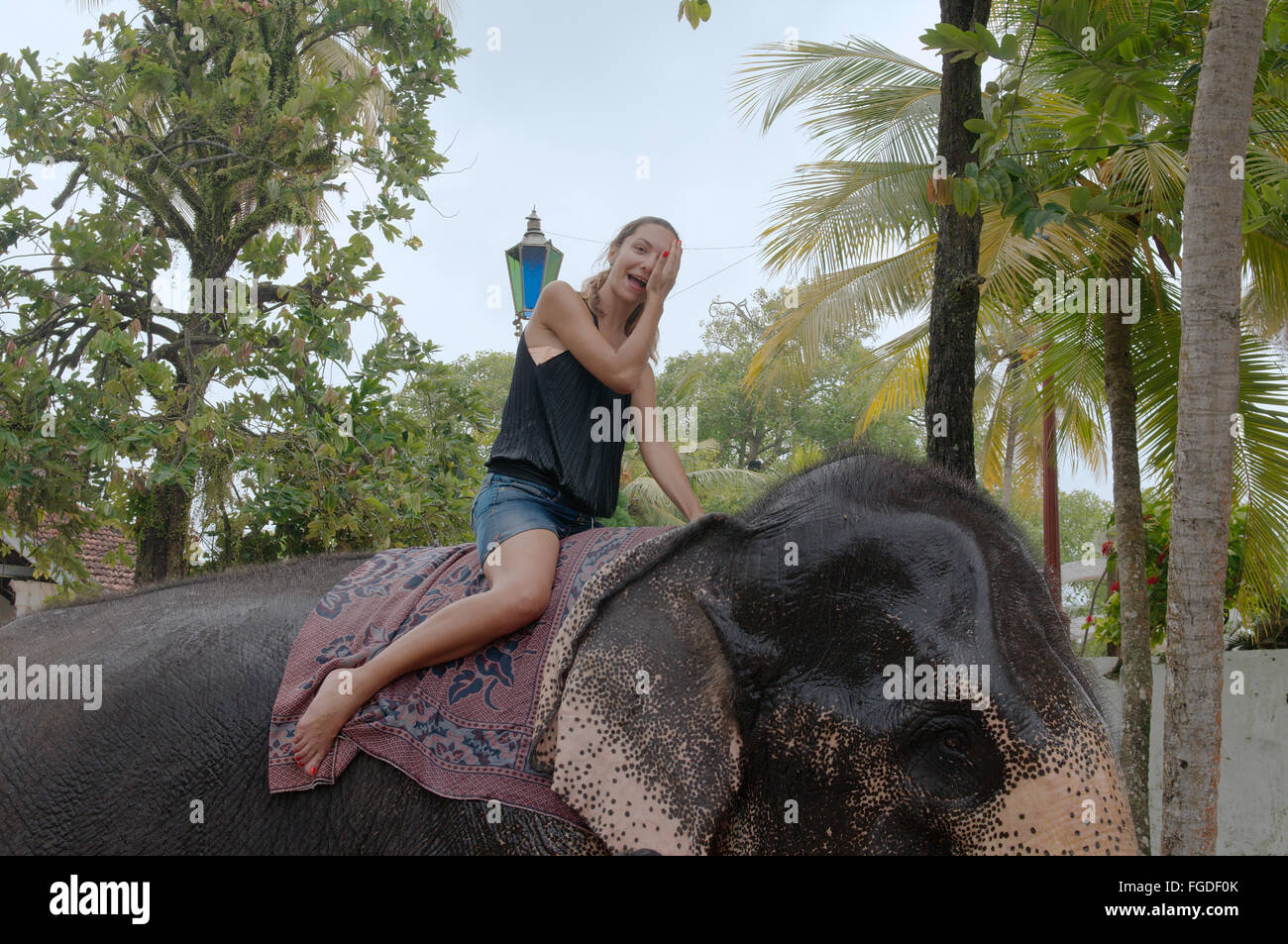 Wet donna si siede a cavallo di un elefante indiano, elefante asiatico o elefante Asiatico (Elephas maximus), Hikkaduwa, Sri Lanka, Sud Asia Foto Stock
