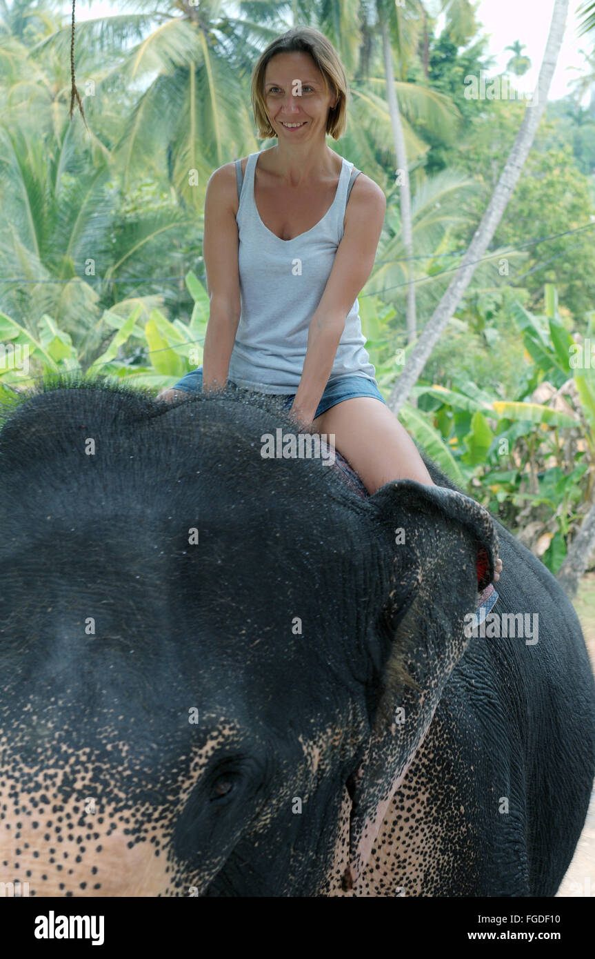 La donna corse su un elefante attraverso la giungla - elefante indiano, elefante asiatico o elefante Asiatico (Elephas maximus) Hikkaduwa, Foto Stock