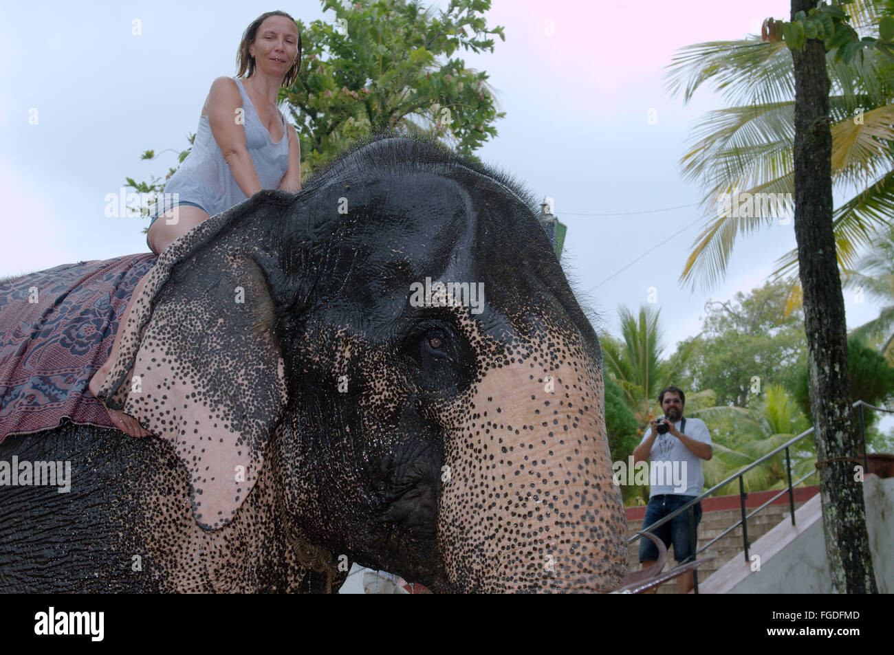 Wet donna si siede a cavallo di un elefante indiano, elefante asiatico o elefante Asiatico (Elephas maximus), Hikkaduwa, Sri Lanka, Sud Asia Foto Stock