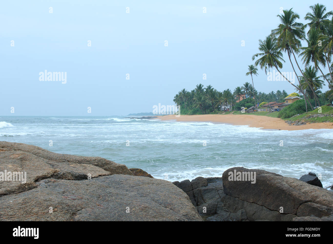Le palme sulle sponde rocciose dell'Oceano Indiano, Hikkaduwa, Sri Lanka, Sud Asia Foto Stock