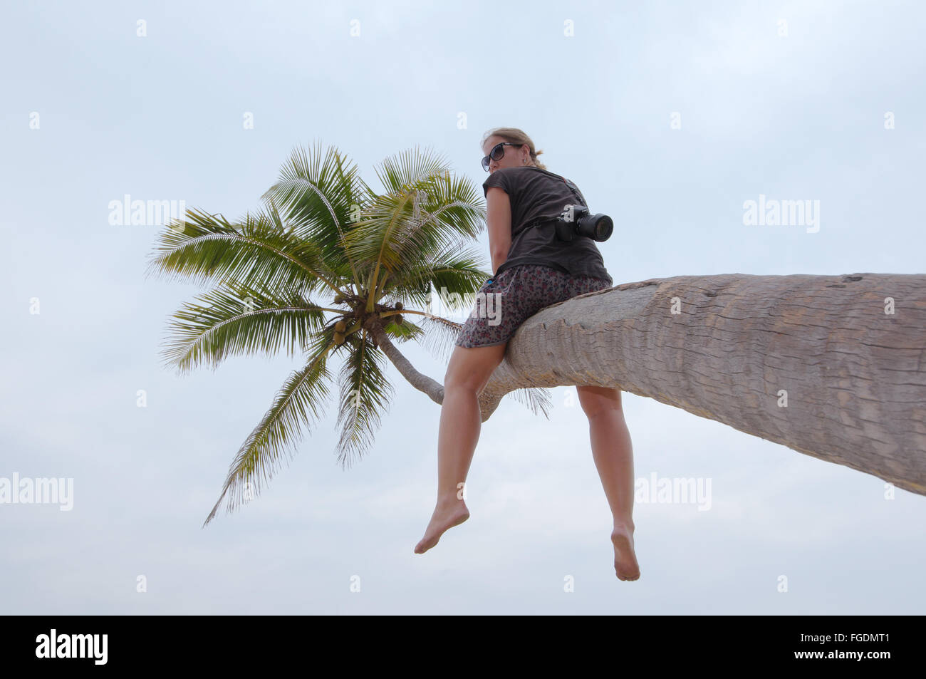 Giovane donna con la telecamera seduto su un albero di palma, Hikkaduwa, Sri Lanka, Sud Asia Foto Stock