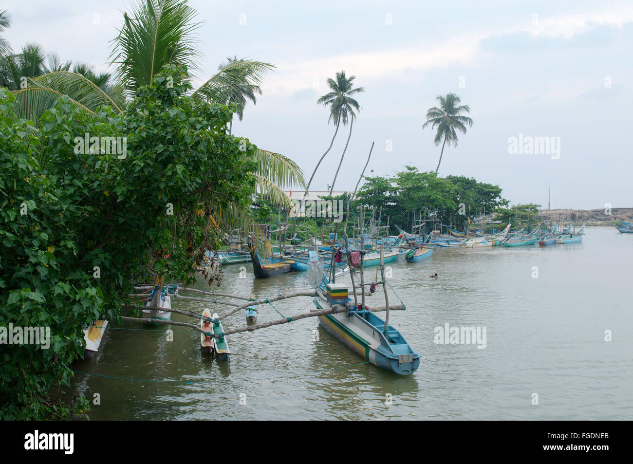 Catamarano tradizionali barche da pesca dello Sri Lanka sono in laguna, Hikkaduwa, Sri Lanka, Sud Asia Foto Stock