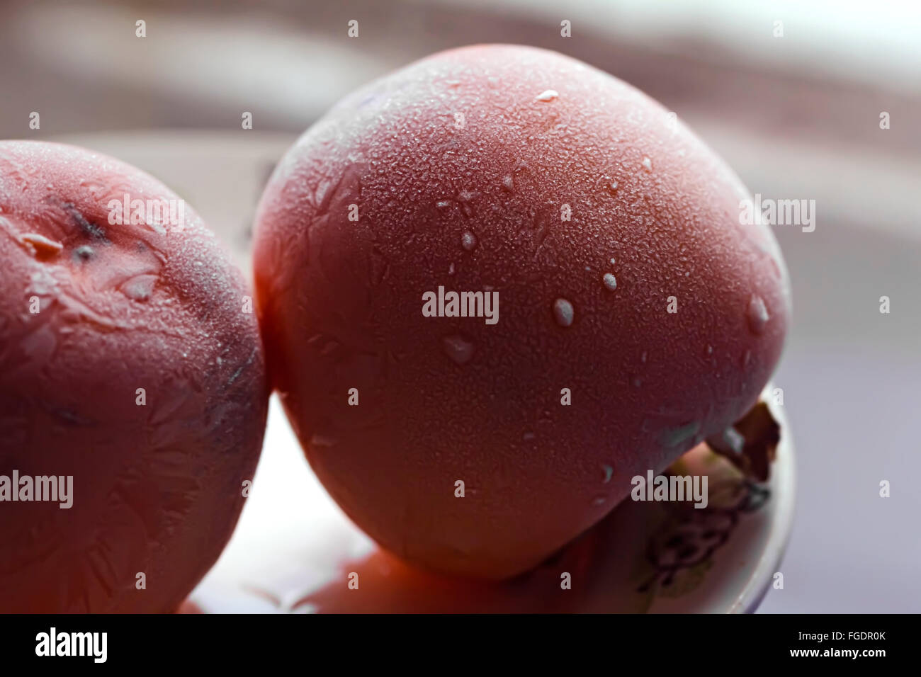 Nizza scongelate big orange persimmon in ombre Foto Stock