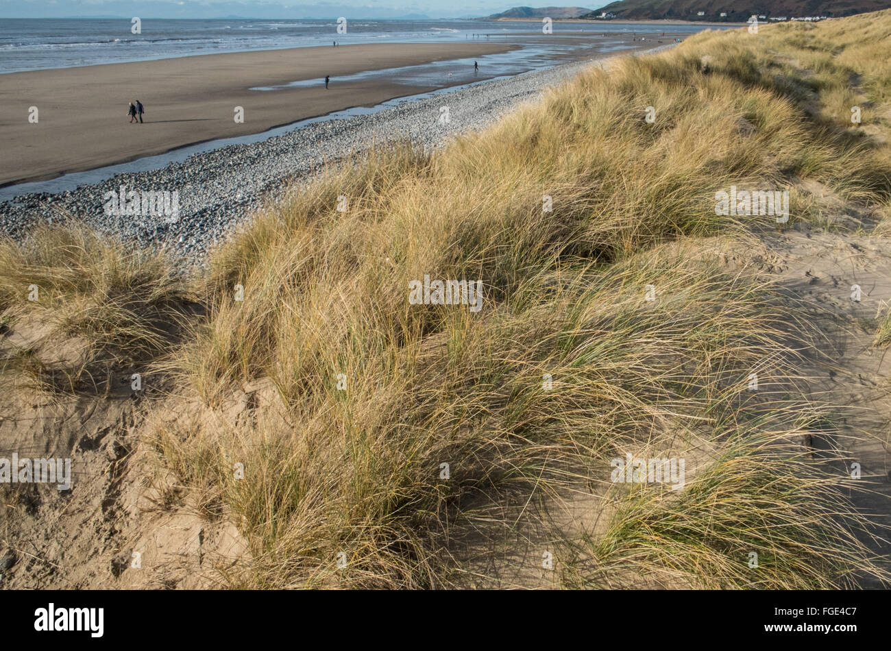 Le dune di sabbia e Borth beach, Ynyslas, Borth, Ceredigion, Dyfed,Galles,U.K.,l'Europa Foto Stock