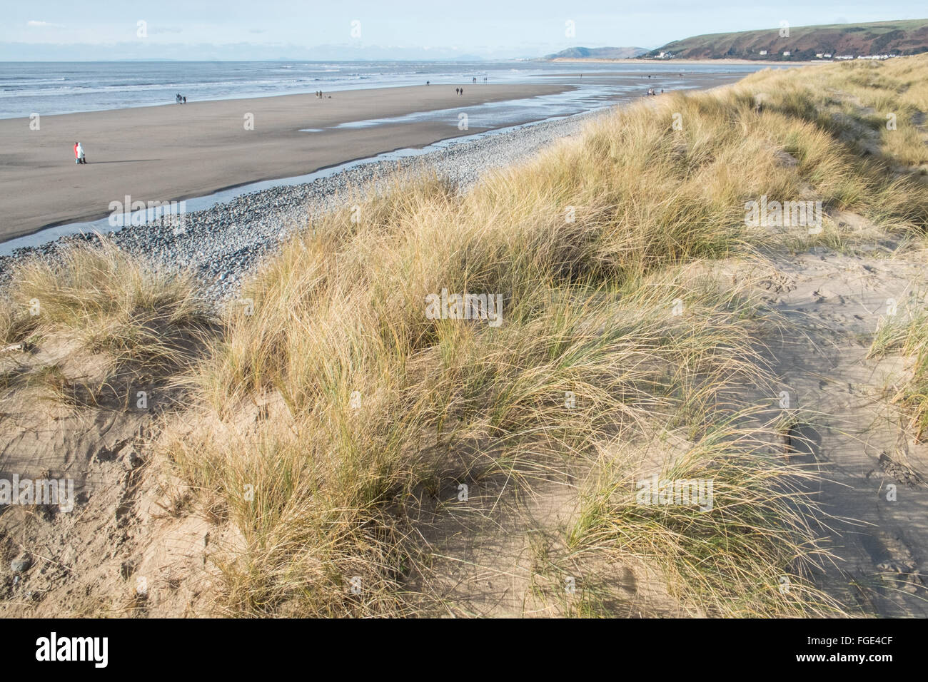 Le dune di sabbia e Borth beach, Ynyslas, Borth, Ceredigion, Dyfed,Galles,U.K.,l'Europa Foto Stock