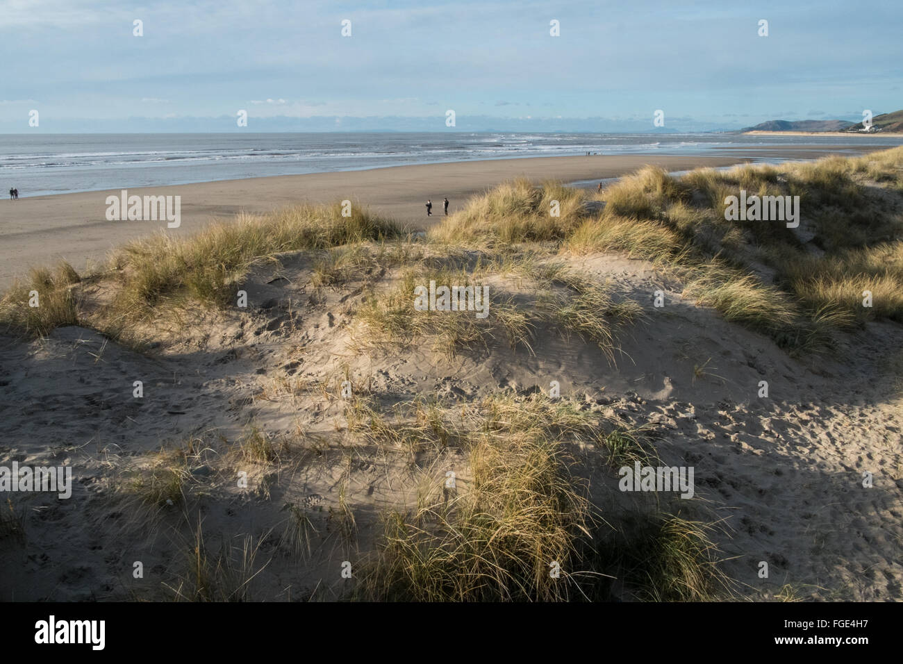 Le dune di sabbia e Borth beach, Ynyslas, Borth, Ceredigion, Dyfed,Galles,U.K.,l'Europa Foto Stock