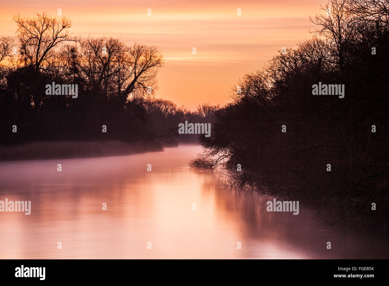 Una nebbiosa alba invernale sul fiume Kennet nel Wiltshire. Foto Stock