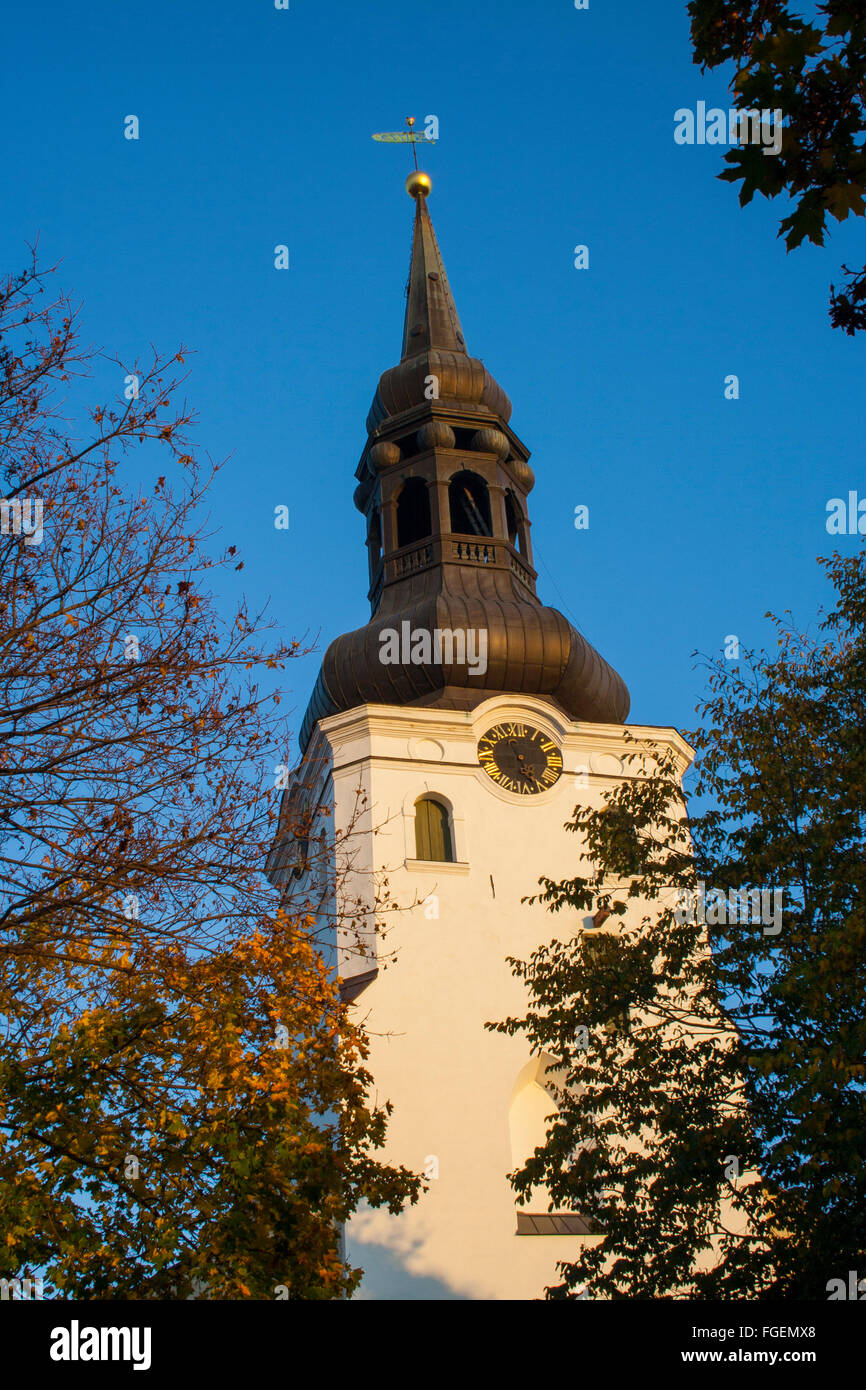 La Cattedrale di St Mary (Toomkirik), Tallinn, Estonia Foto Stock