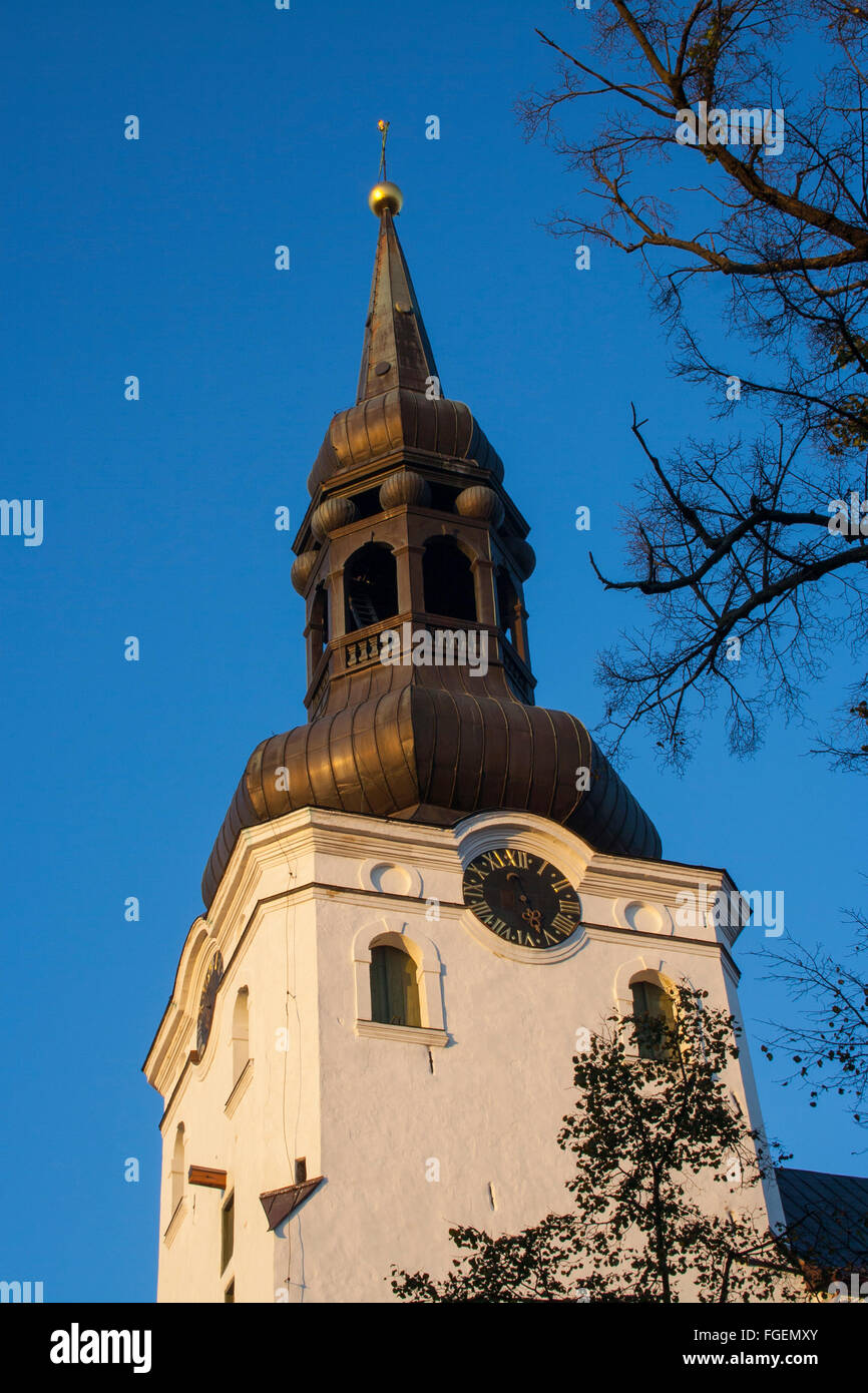 La Cattedrale di St Mary (Toomkirik), Tallinn, Estonia Foto Stock