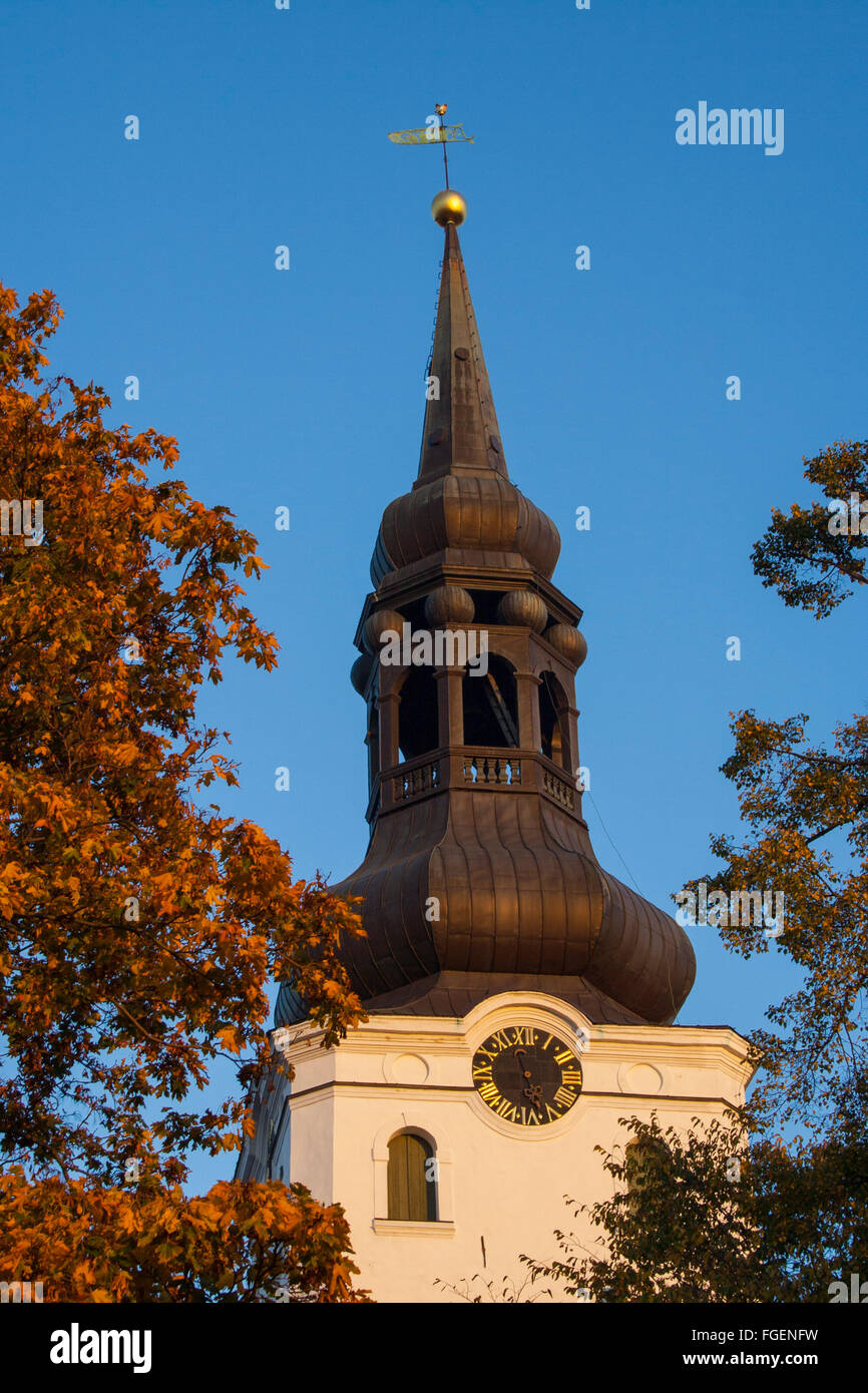 La Cattedrale di St Mary (Toomkirik), Tallinn, Estonia Foto Stock