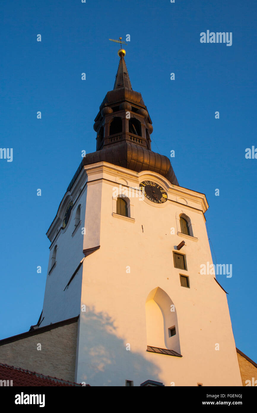 La Cattedrale di St Mary (Toomkirik), Tallinn, Estonia Foto Stock
