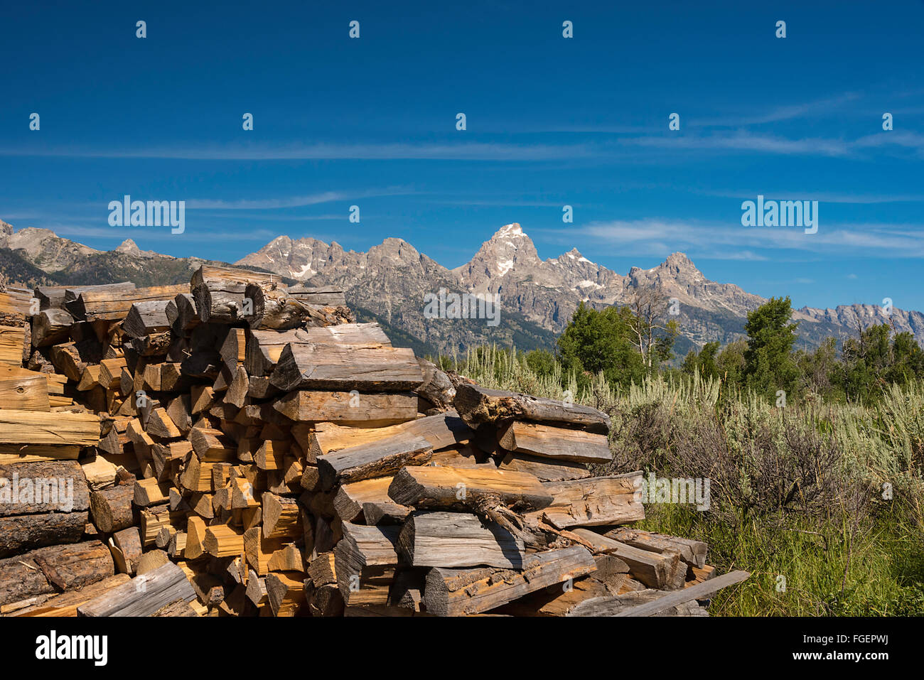 Catasta di legna da ardere con le montagne sullo sfondo. Foto Stock