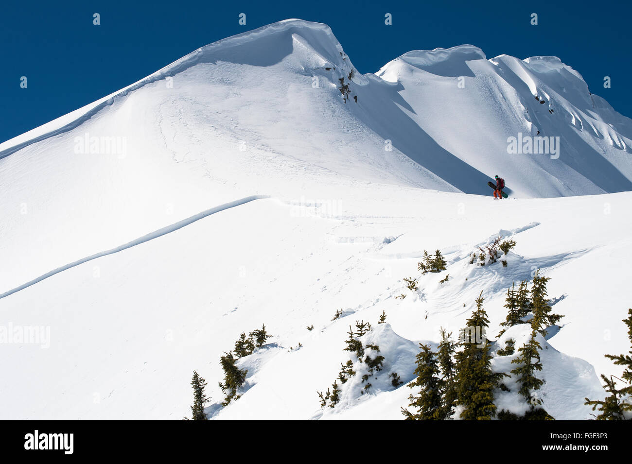 Jay Hergert guarda oltre una valanga ha impostato su off mentre hikg fino una cresta le per snowboard giù il backcountry British Columbia. Foto Stock